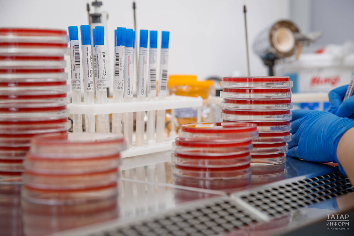 В Татарстане под диспансерным наблюдением состоят 22 606 человек с вирусными гепатитами В и СФото: © Владимир Васильев / «Татар-информ»