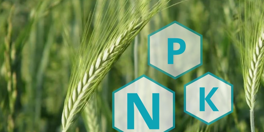 Жидкие NPK-удобрения: когда необходима листовая подкормка NPK?