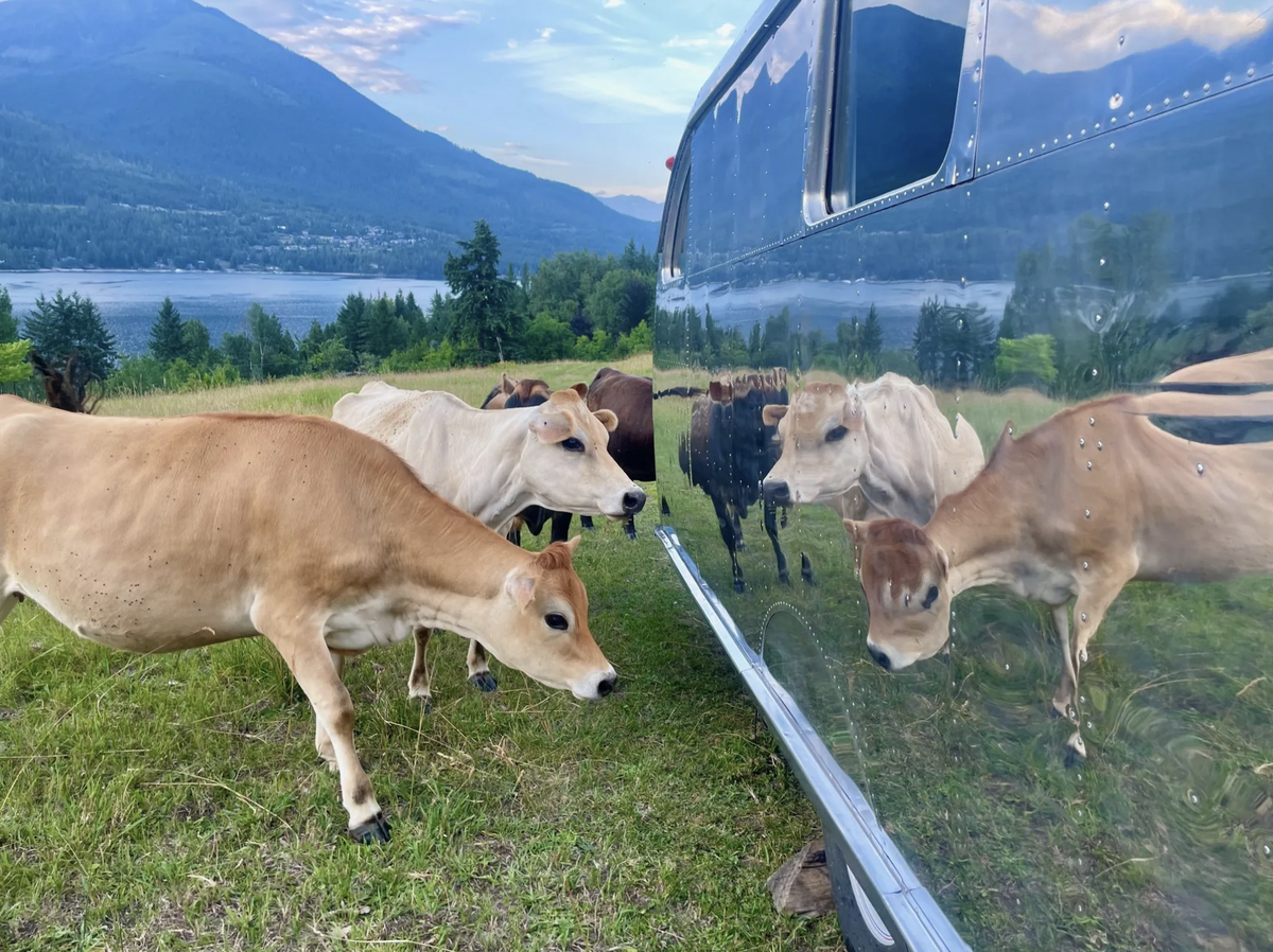    Кемпер Spartan Manor Model 25