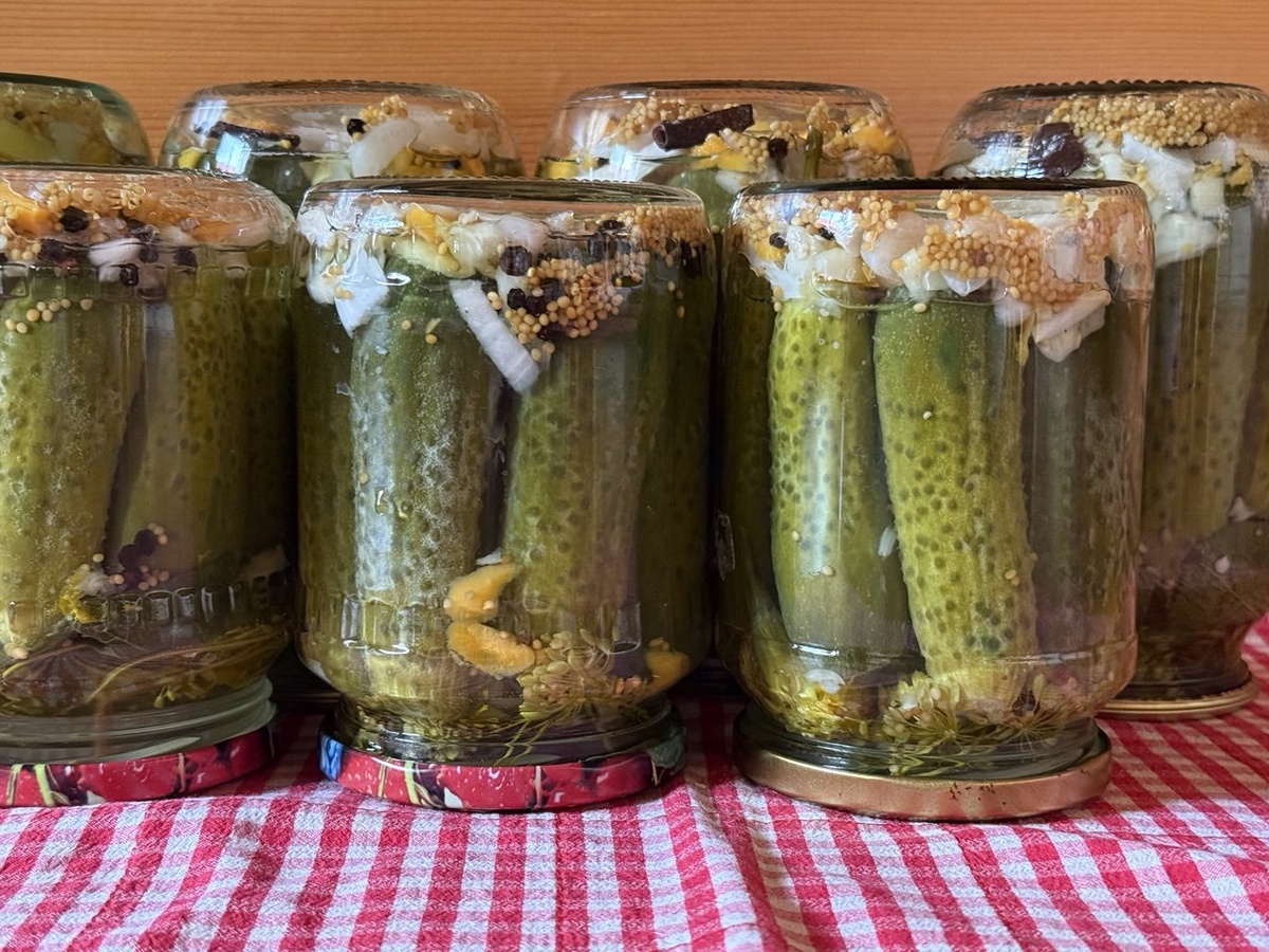 Фото автора канала Дом с кипарисами