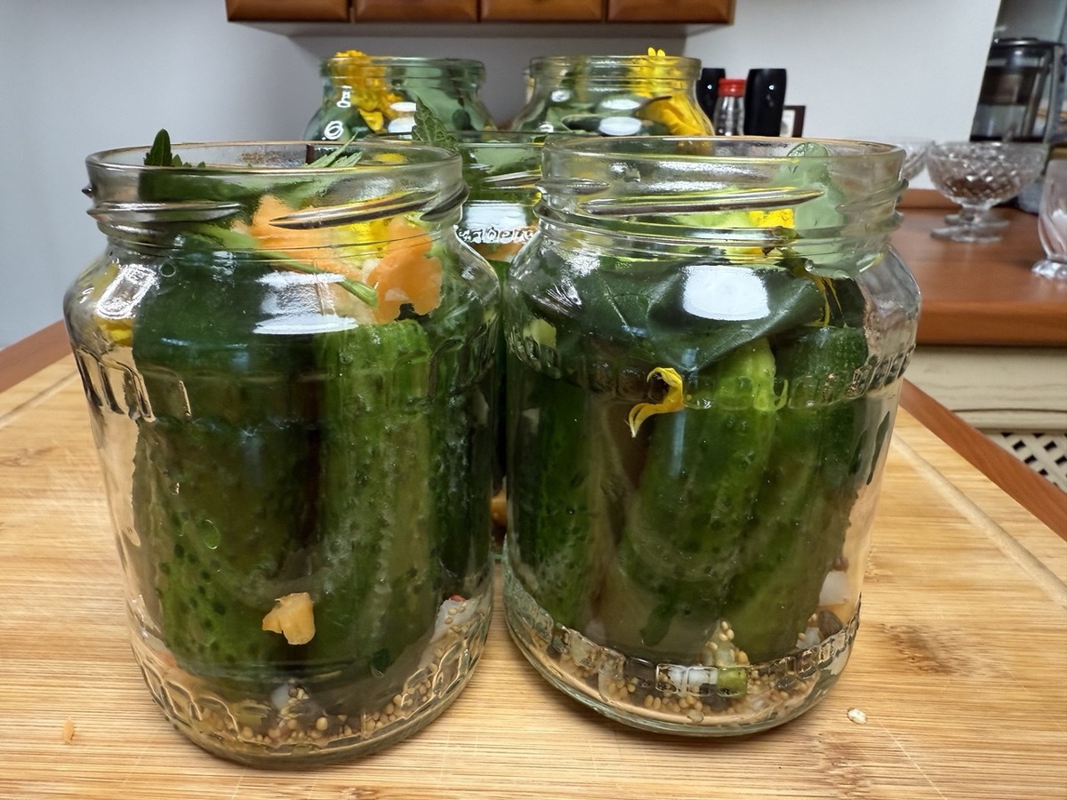 Фото автора канала Дом с кипарисами