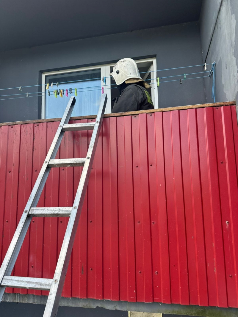    Мертвого человека нашли спасатели в КарелииОПС по Пряжинскому району