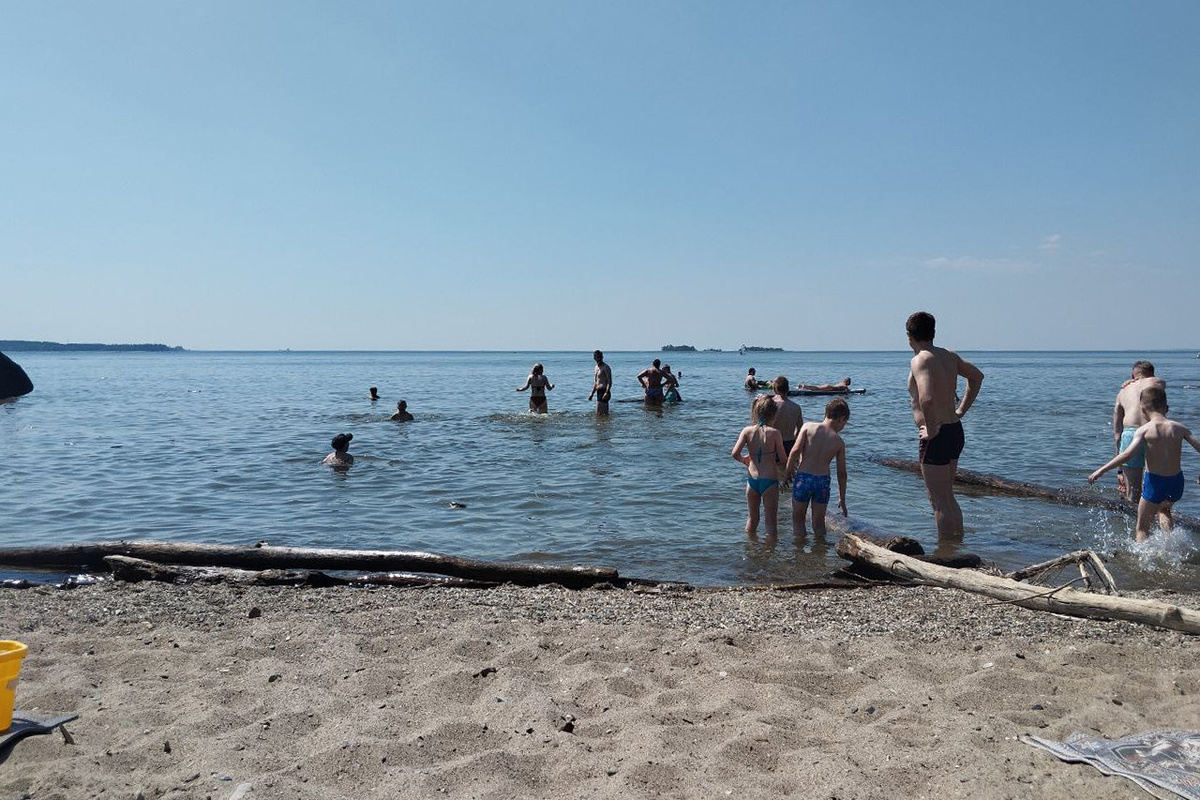 Обское море завалено старыми деревьями.  Фото: Фото: ФедералПресс / Екатерина Ломакина
