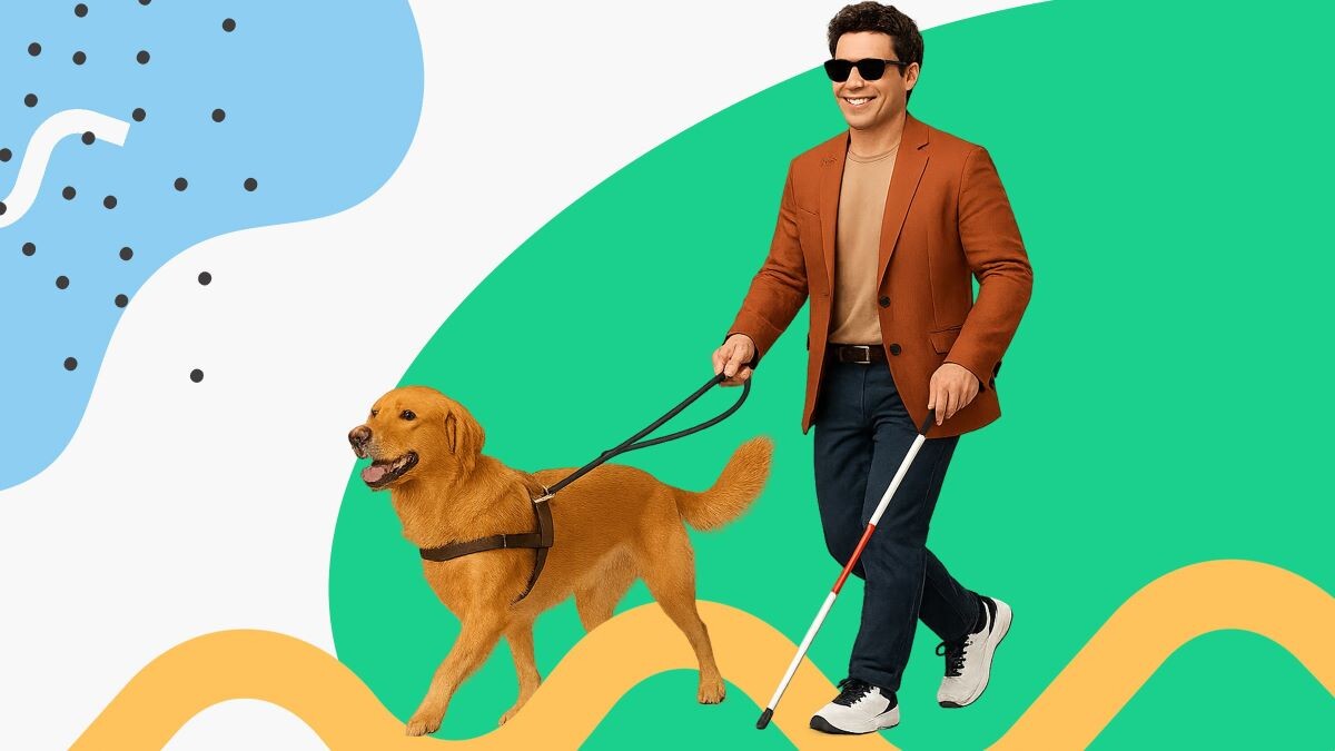 Собака-поводырь — это специально обученный помощник незрячего и слабовидящего человека. Помогает ориентироваться в пространстве