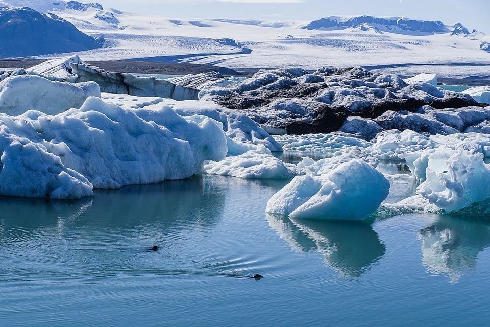    На Земле появится новое время года: как человек изменил климат на планете Shutterstock