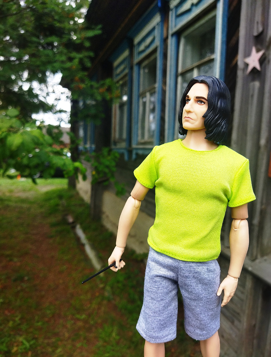 Северус осматривает владения