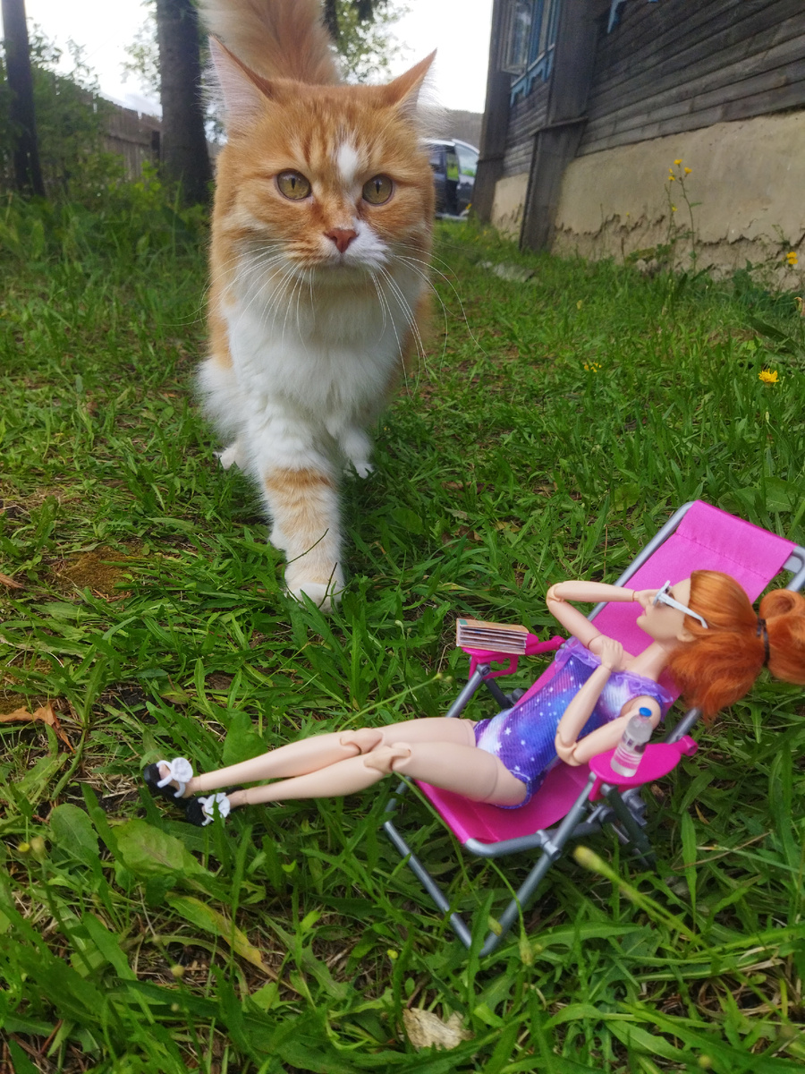 Серафина в шоке)