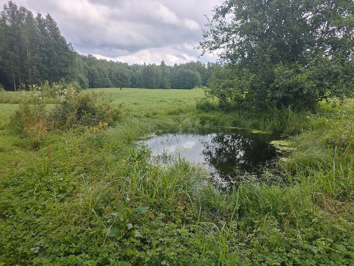 Вид с нашего участка