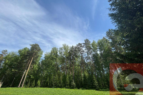    Фото: Прецедент