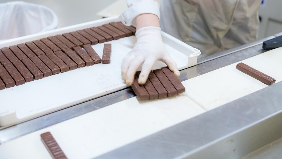    Производство шоколада. Иллюстрация. Автор фото: Беликов Валентин