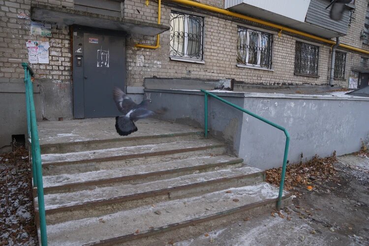 Все произошло в этом доме. Фото: Светлана Маковеева