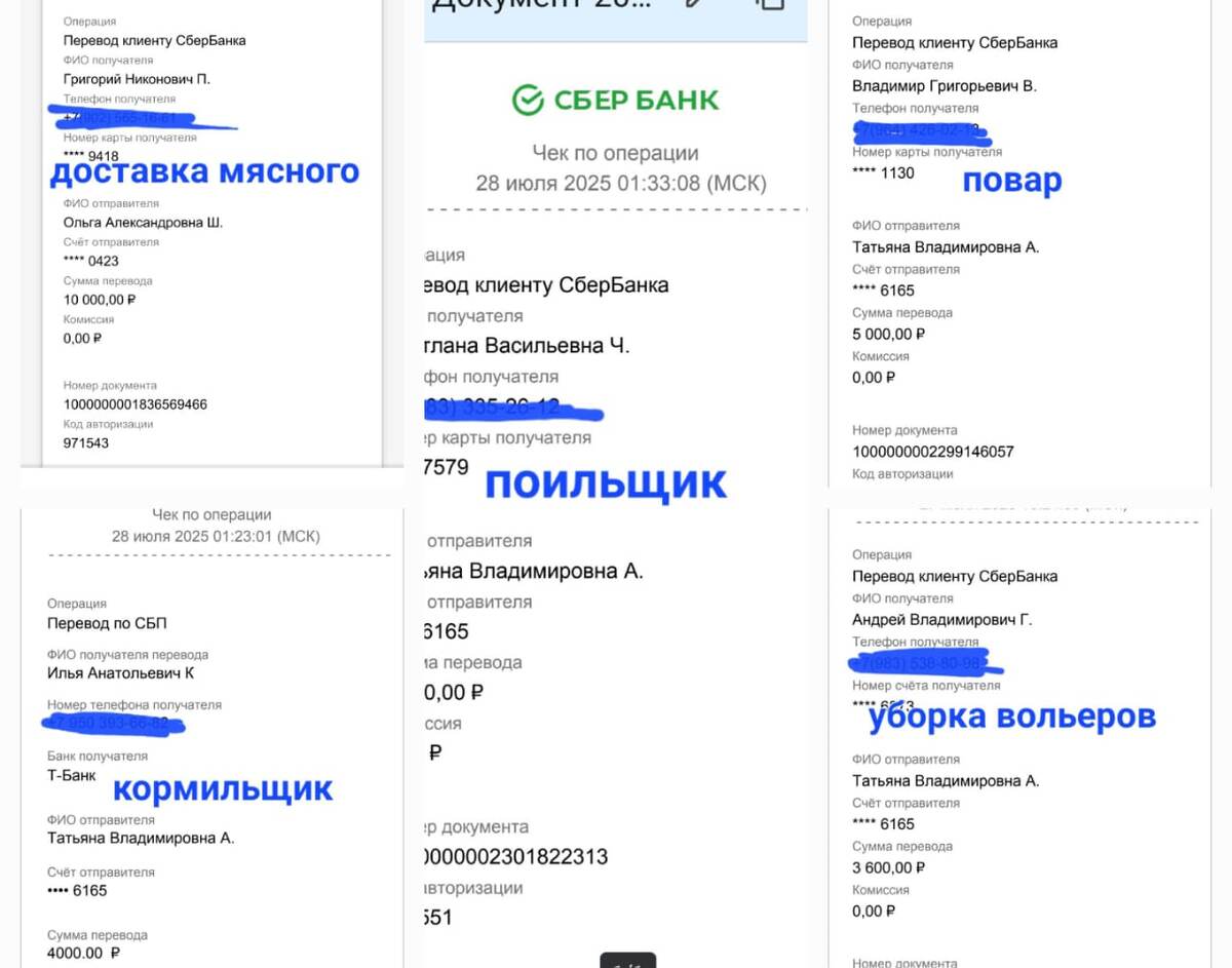 Отчет, поратили все, что собрали.