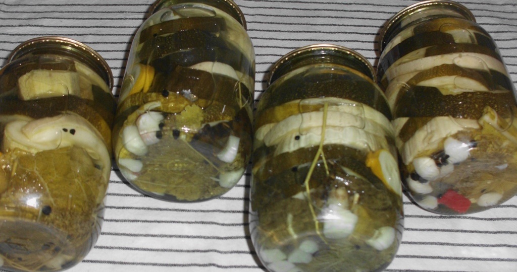 Маринованные кабачки по-болгарски