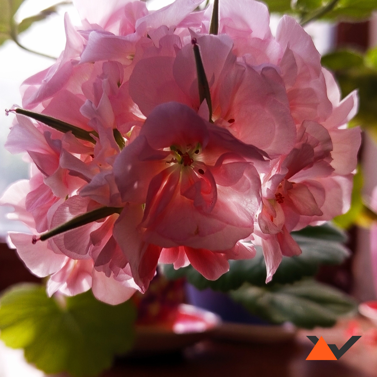 Создание сайтов: красота и аккуратность