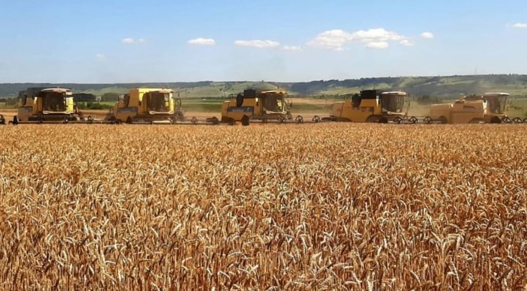    Фото: Минсельхозпрод Республики Татарстан