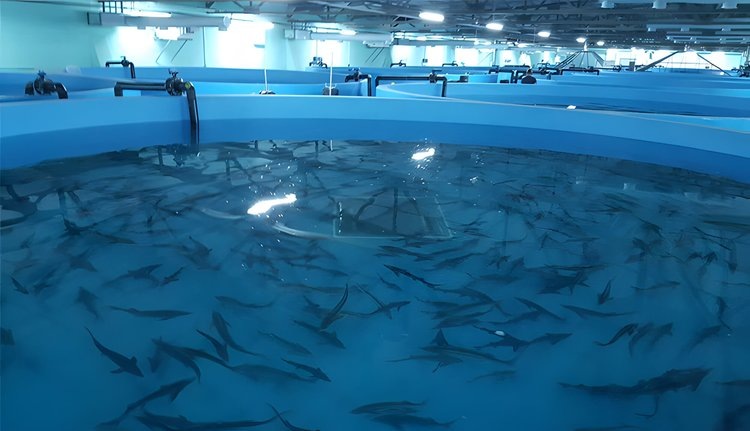    Фото: Минсельхоз Калининградской области