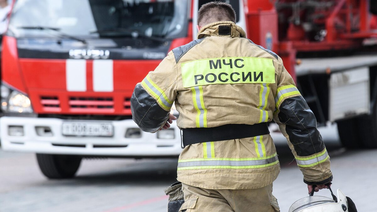    Фото: Ilya Moskovets/globallookpress.com