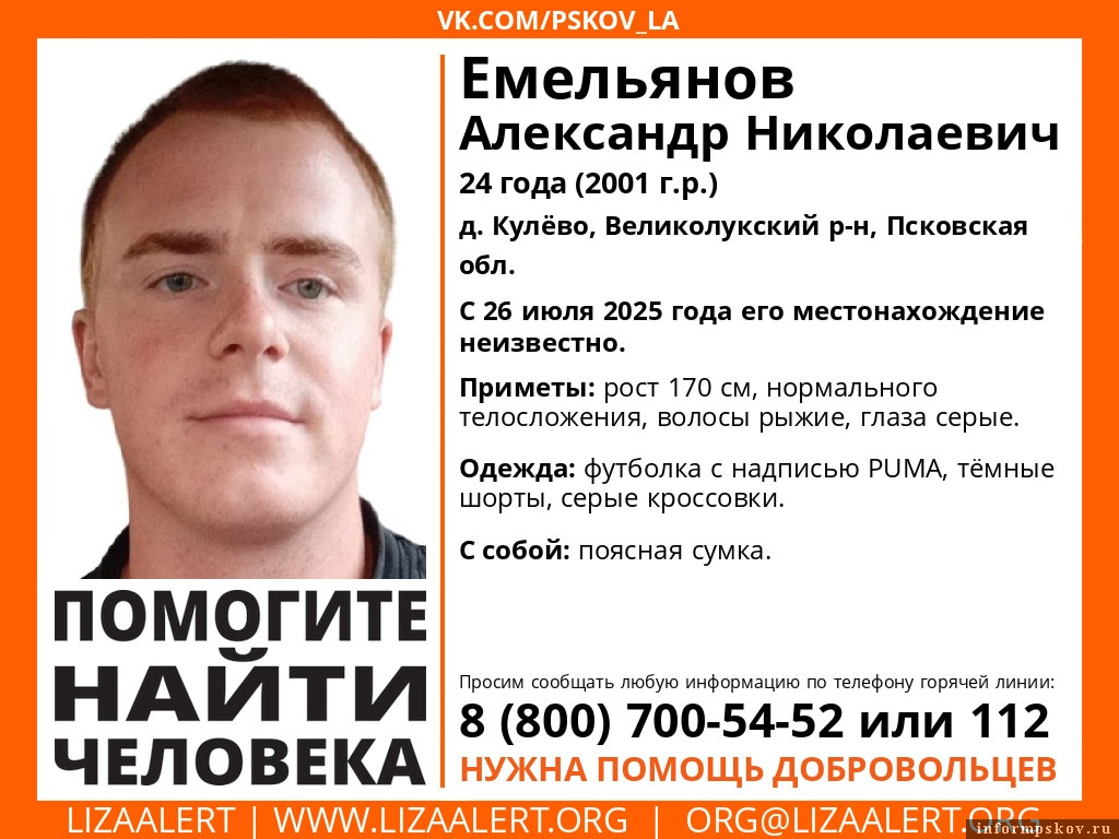 Фото: поисково-спасательный отряд «ЛизаАлерт»