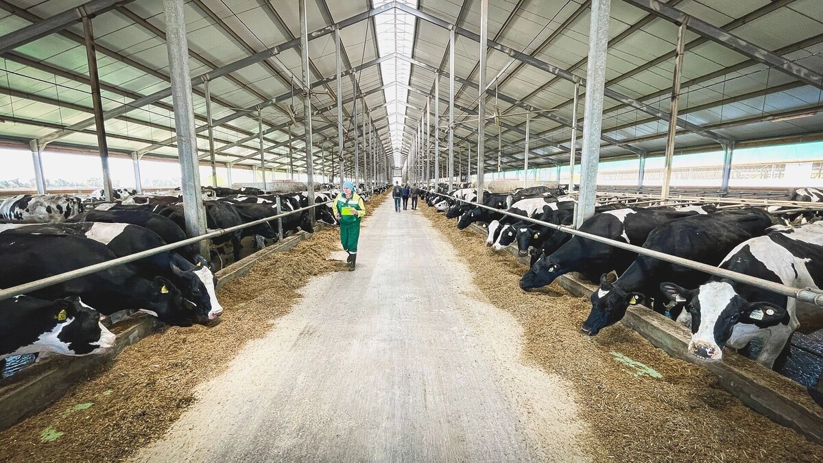     Источник: 1MI