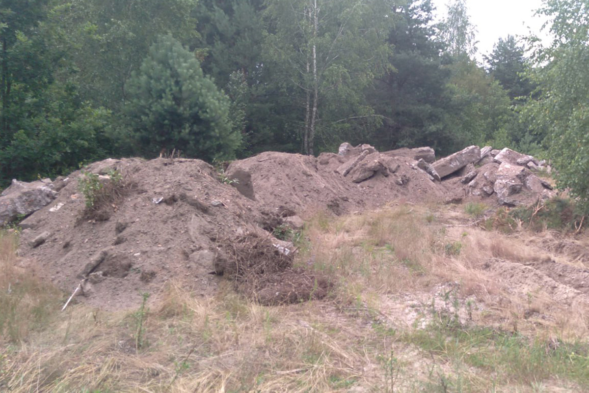    Фото: Минлесхоз / Telegram