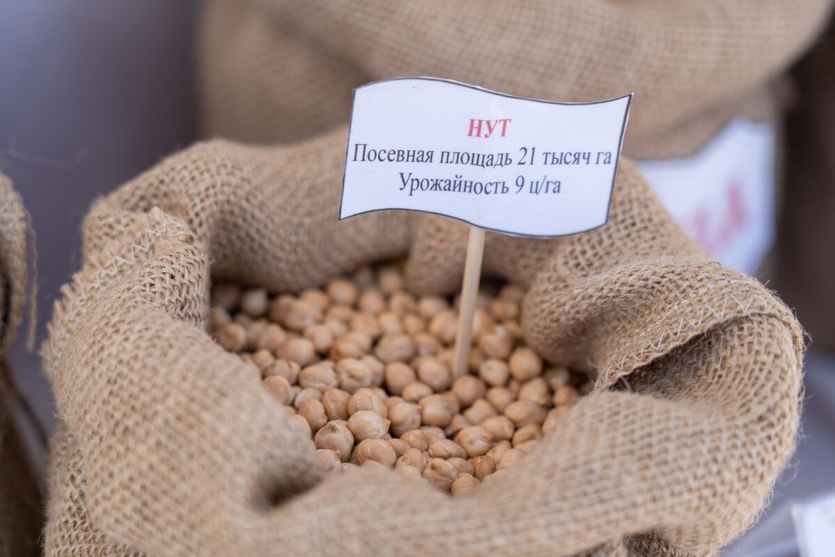 Фото: Александр Плонский / «Агроэксперт»