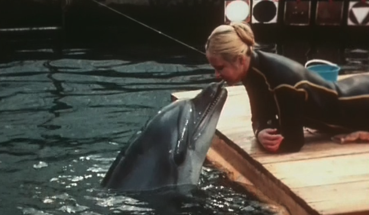    Кадр из фильма "Люди и дельфины" (1983)