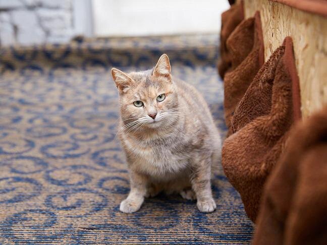 Фото: Елена Журавлёва