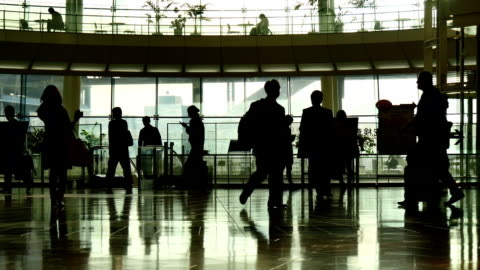 изображение взято из открытых источников в сети Интернет