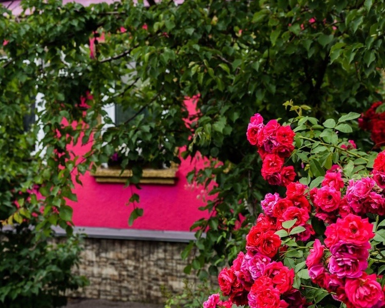     В Курской области 29 июля ожидается жара до +31 градуса