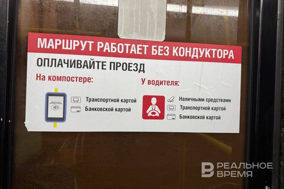   Дарья Пинегина / realnoevremya.ru