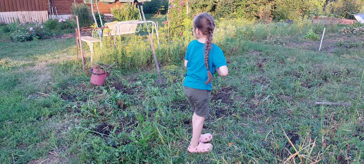  Внучка тоже попросила лопату и тоже копала вместе со своей мамой фактически наперегонки. Не убоялась ни лопаты, ни труда физического. Правда перчатки у нее были очень даже гламурные, с розовыми цветочками.