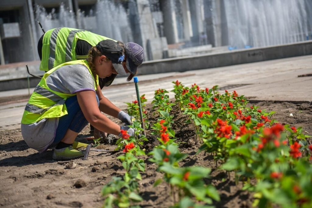 Фото avatars.dzeninfra.ru.