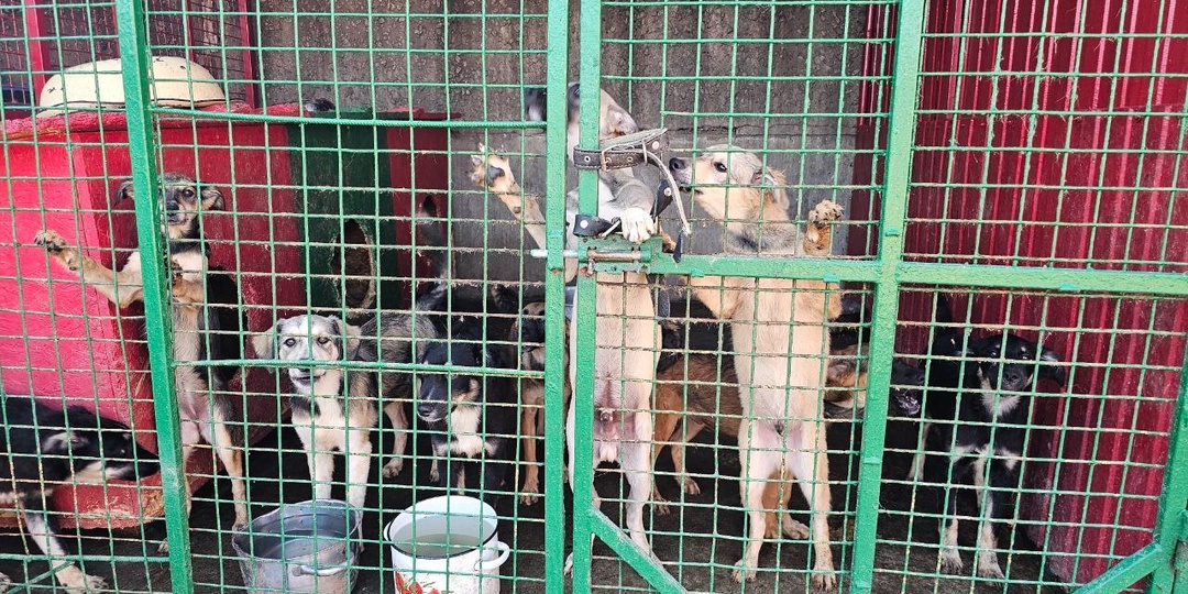 Шесть брошенных жизней. Пять блестящих надежд. Одна счастливая история.