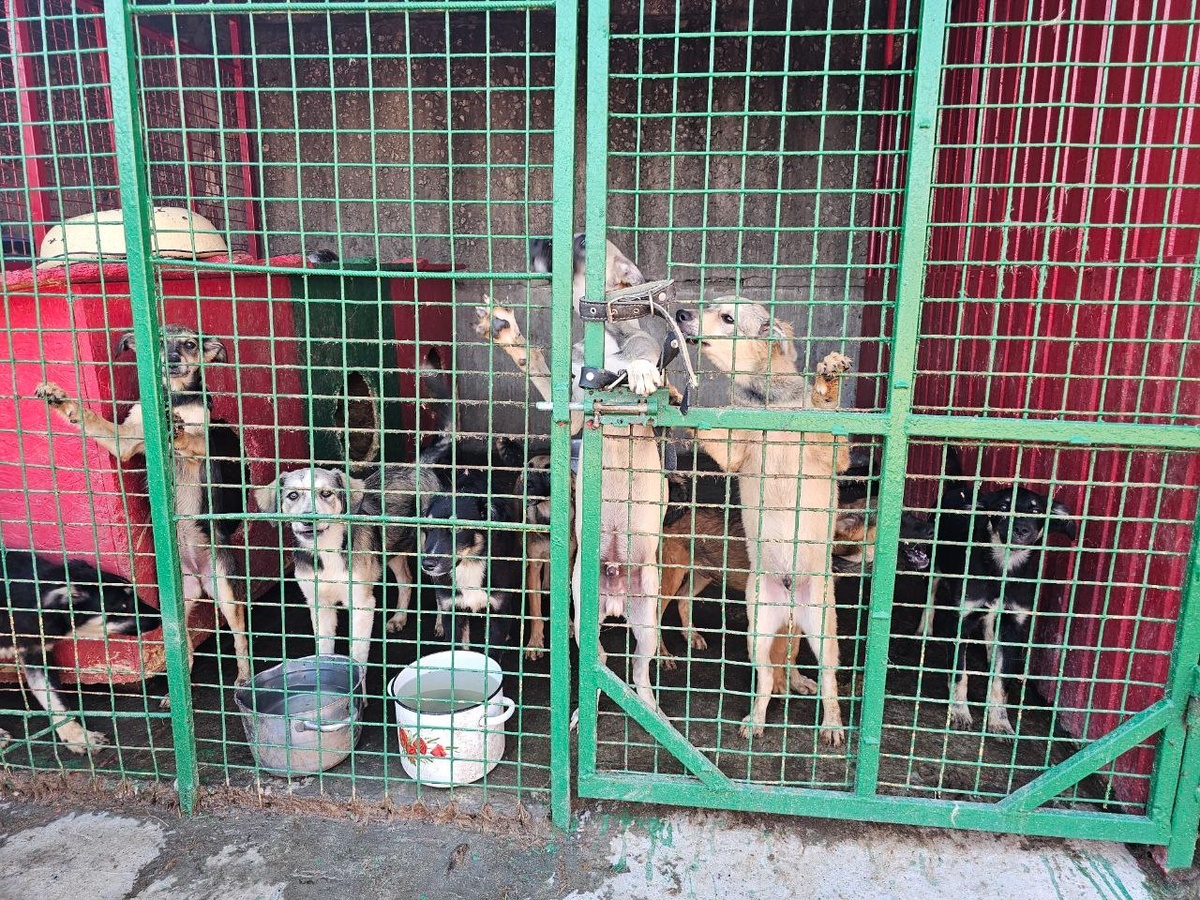 Золотое время для воспитания и построения самой крепкой дружбы!