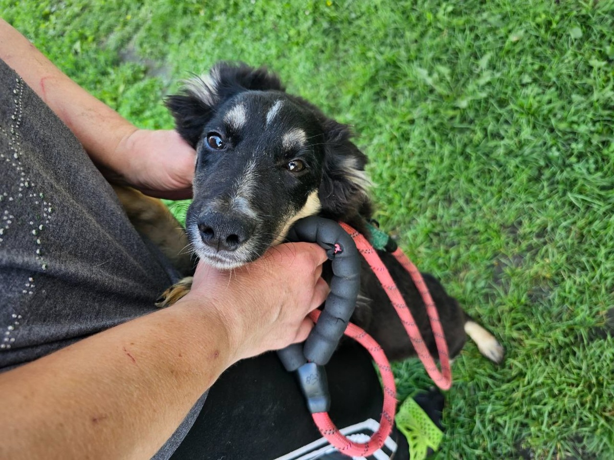 Величественный Царь