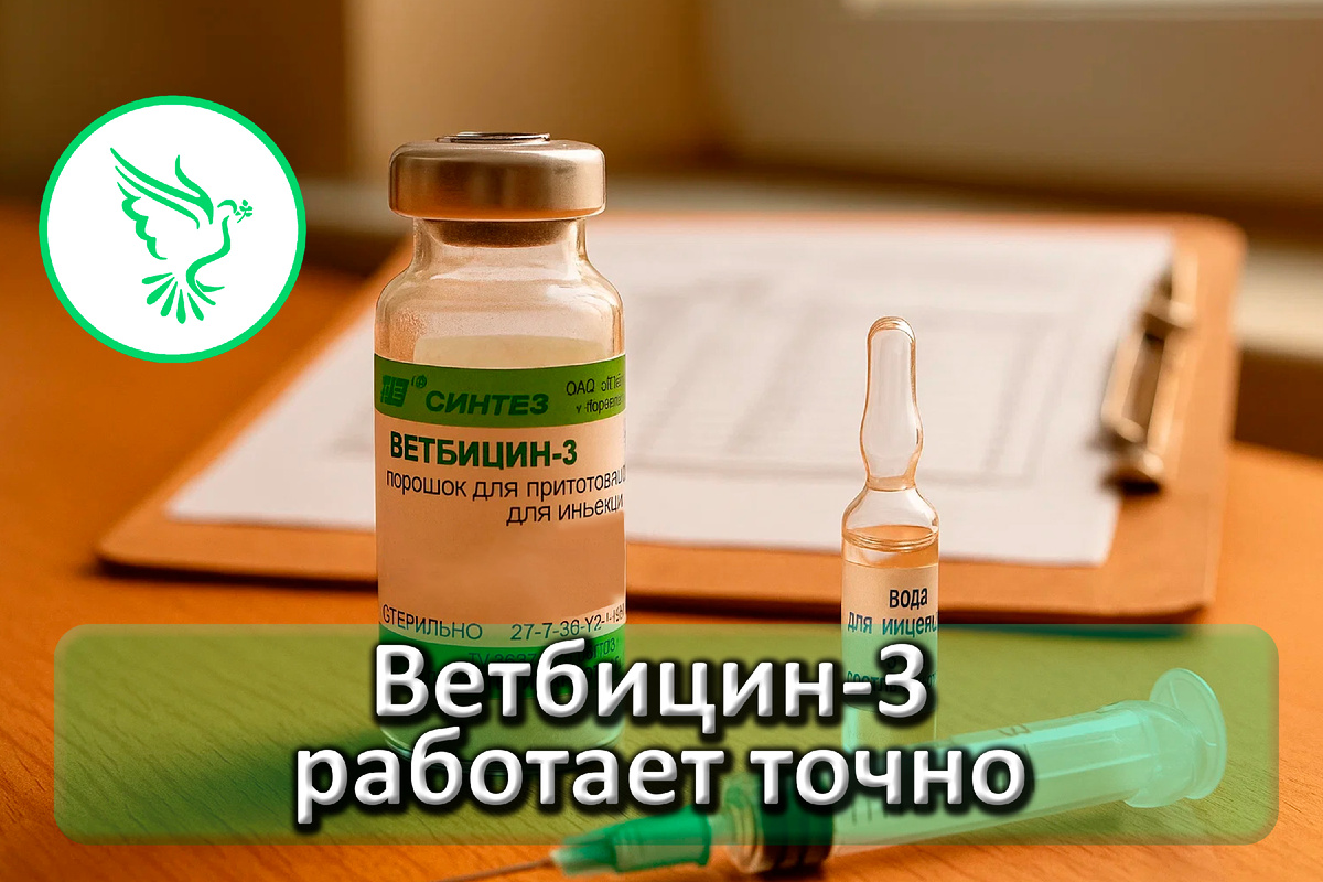 Эффективный препарат в действии