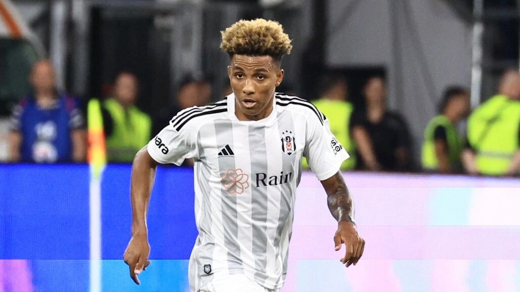    Фото: commons.wikimedia.org