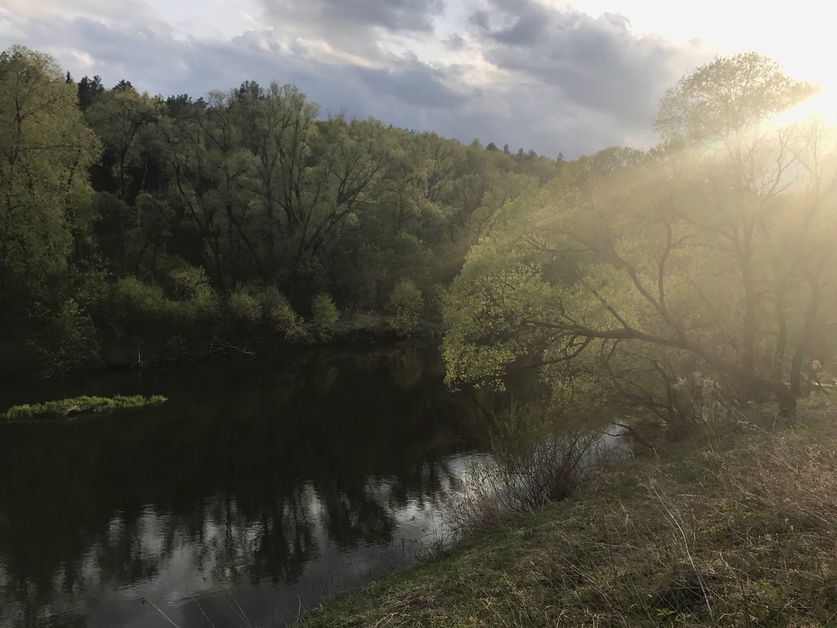 август 2017 года