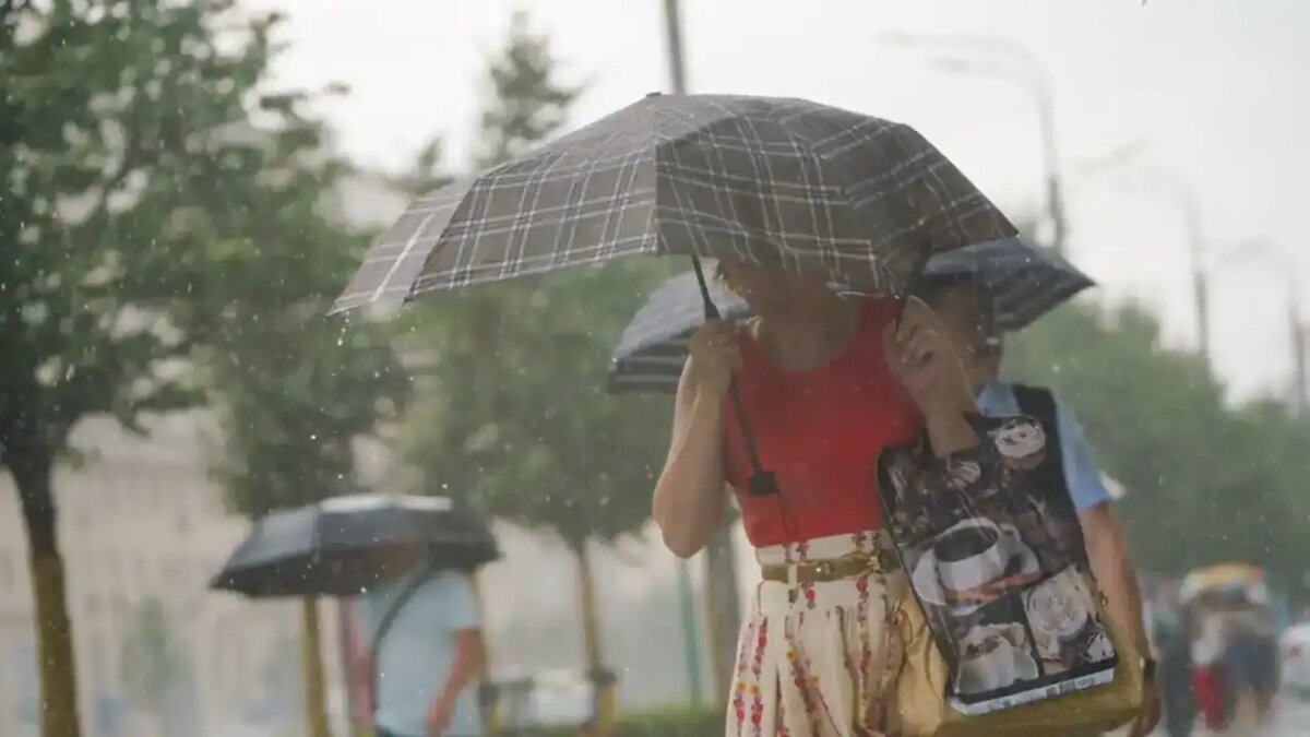    Лето в Москве.