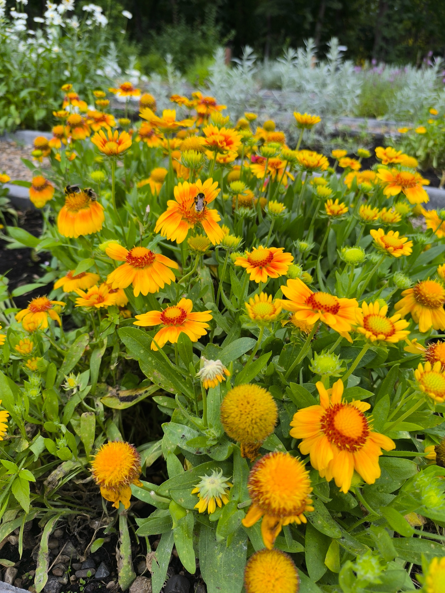 Фото автора канала Счастье есть 