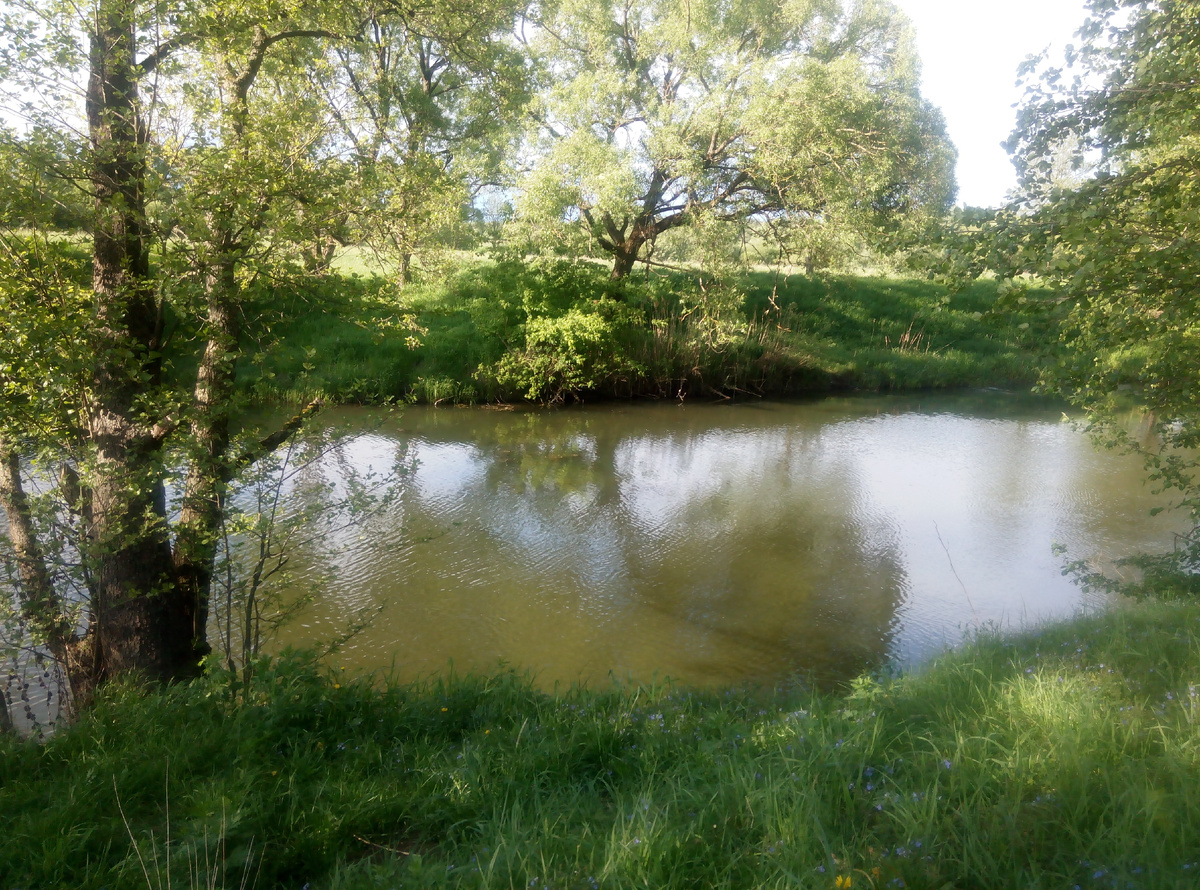 река Суходрев у Детчино