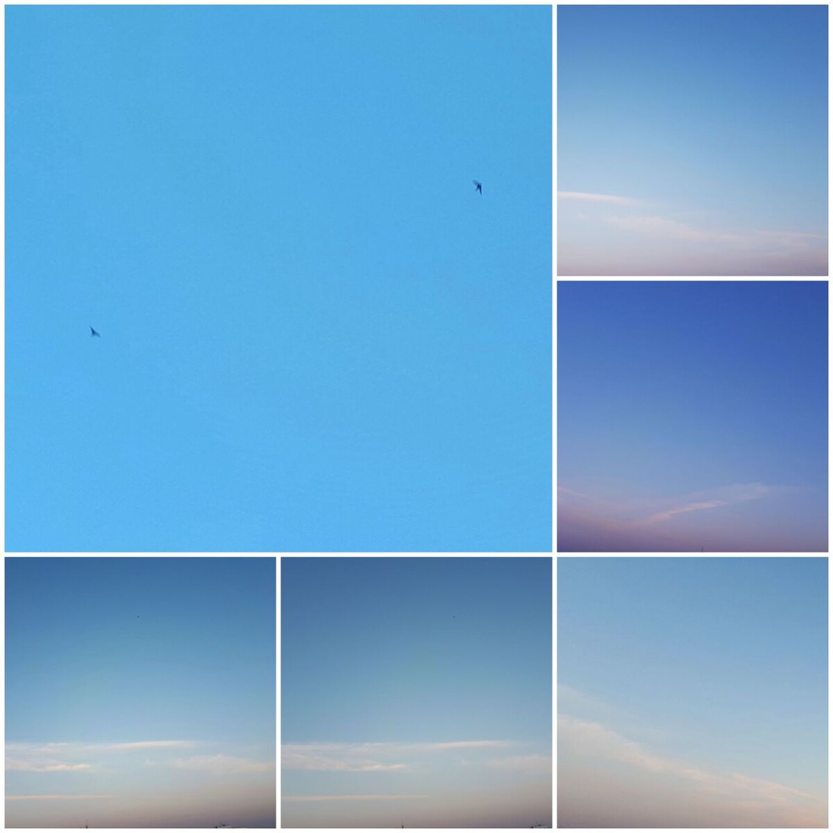 Коллаж автора статьи 28.07.2025г.