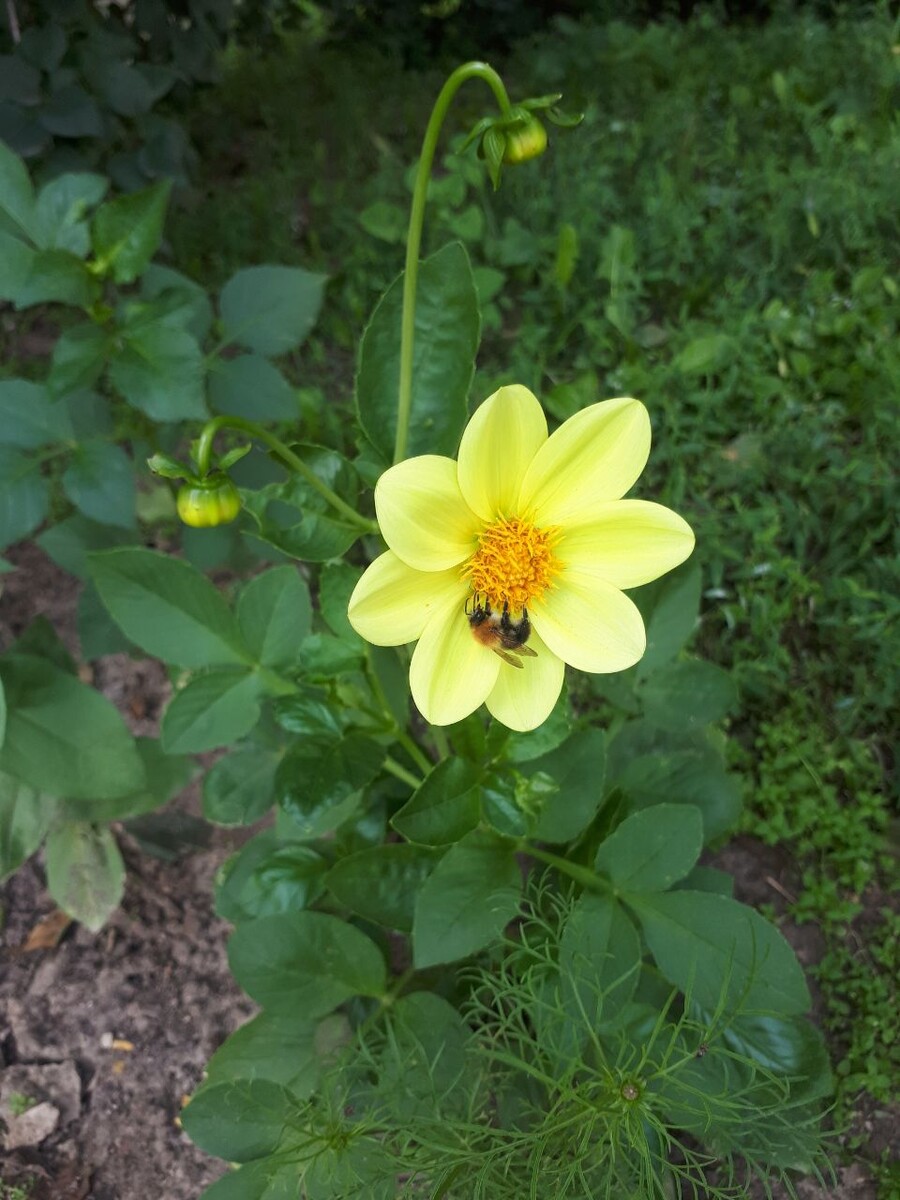 Фото автора статьи 28.07.2028г.