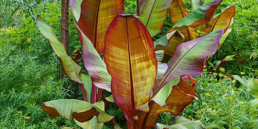 Цветочный магазин в небольшом городе. Отстройка от конкурентов.