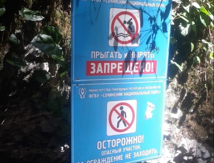    Фото: пресс-служба Сочинского нацпарка