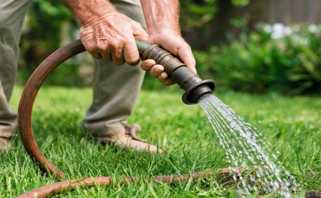    © Всеволожский муниципальный район ЛО