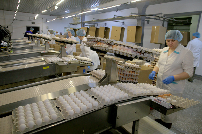    Фото из архива «Континента Сибирь»