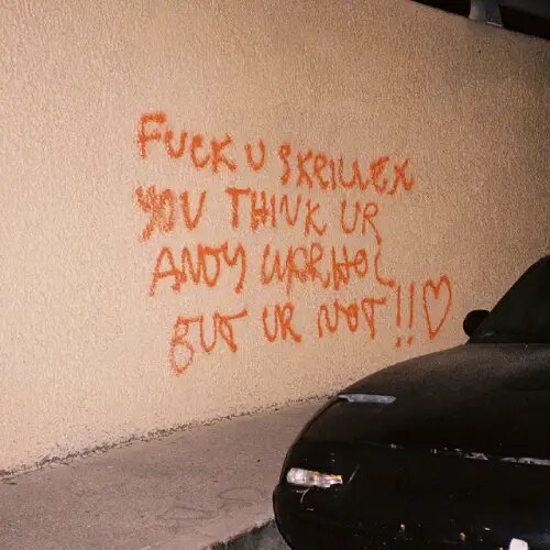   Фото: обложка альбома Skrillex "F*CK U SKRILLEX YOU THINK UR ANDY WARHOL BUT UR NOT!! <3" / pitchfork