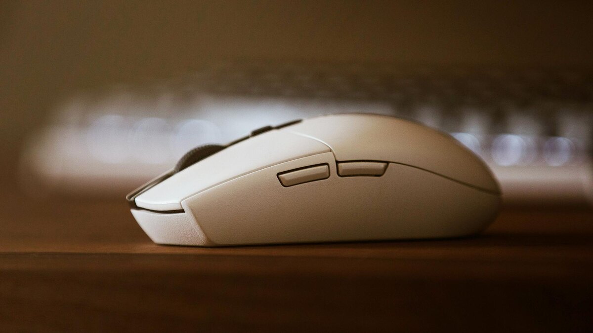    Фото: unsplash.com