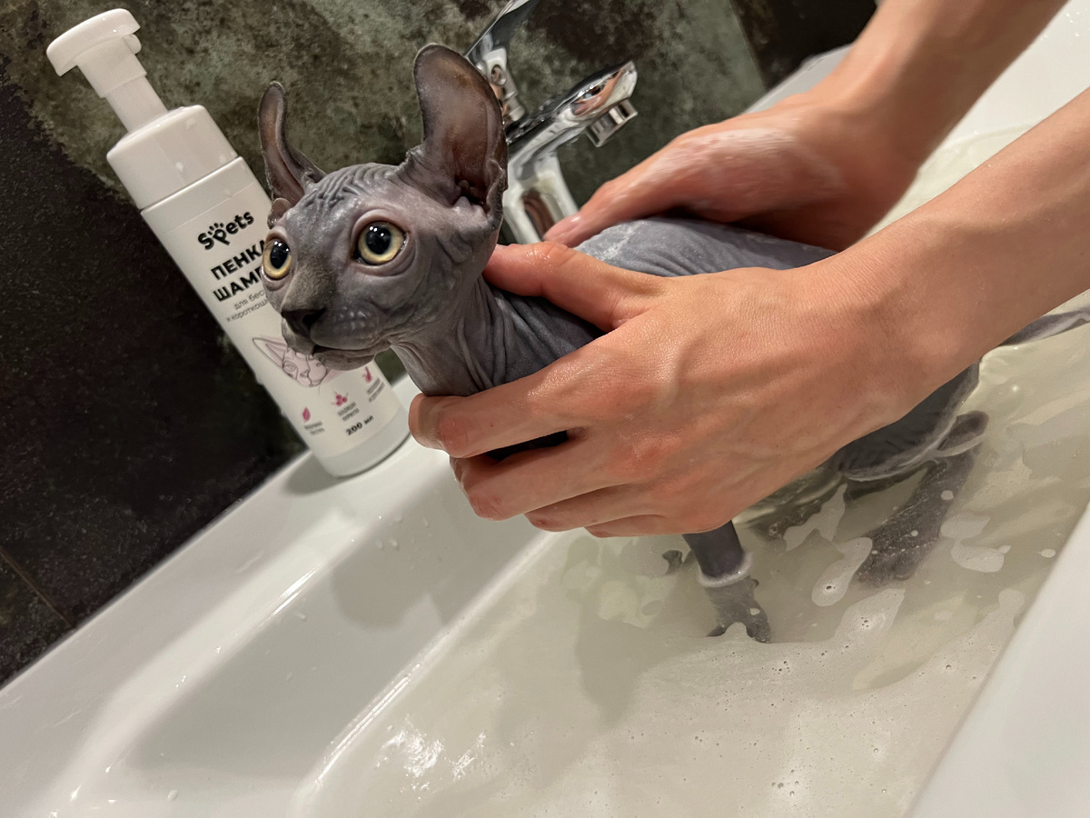 Приучаем младшую Эль к купанию